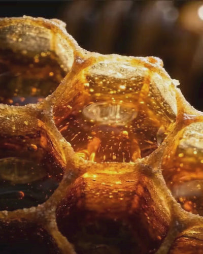 BEEZZ Raw Honeycomb Gift Box